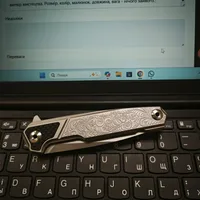 Нож складной Ruike P875-SZ — Photo 13