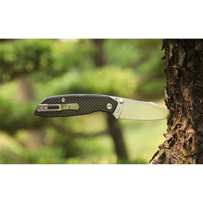 Ніж складаний туристичний Ruike P746-CB, (8 см) 14C28N / G10 чорний — Photo 8