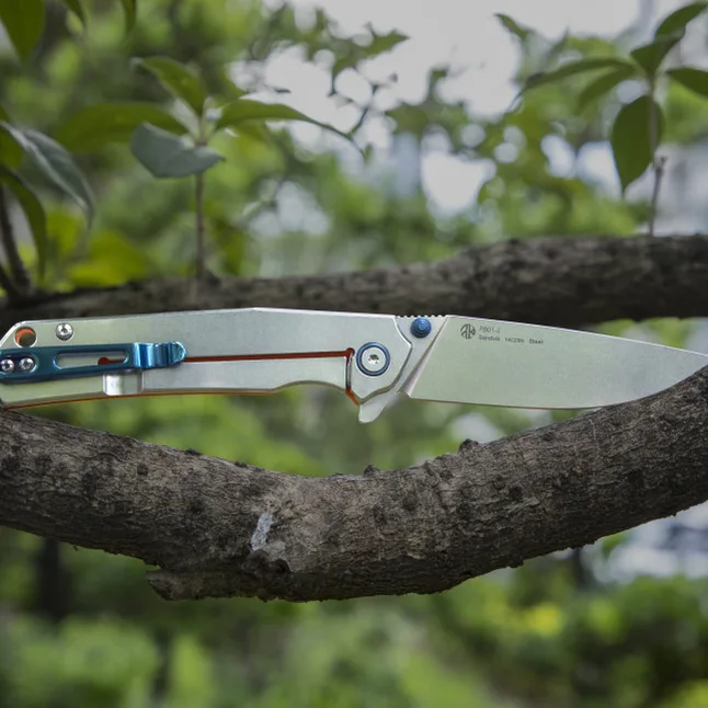 Ніж складаний Ruike P801-J — Photo 33