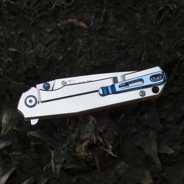 Ніж складаний Ruike P801-J — Photo 39
