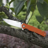 Ніж складаний Ruike P801-J — Photo 71