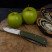 Многофункциональный нож Ruike Criterion Collection L42 зеленый